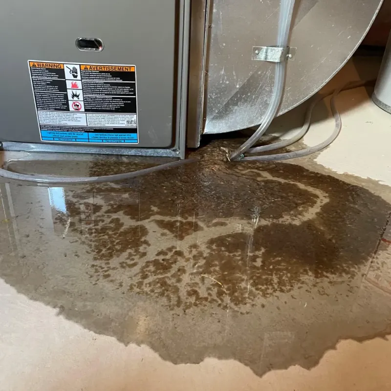 Appliance Leak Cleanup in Brighton, AL